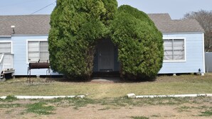 A house with a unique tree-shaped entrance. - Cozy Coastal Getaway (Ingleside)