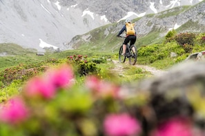 Bicycling