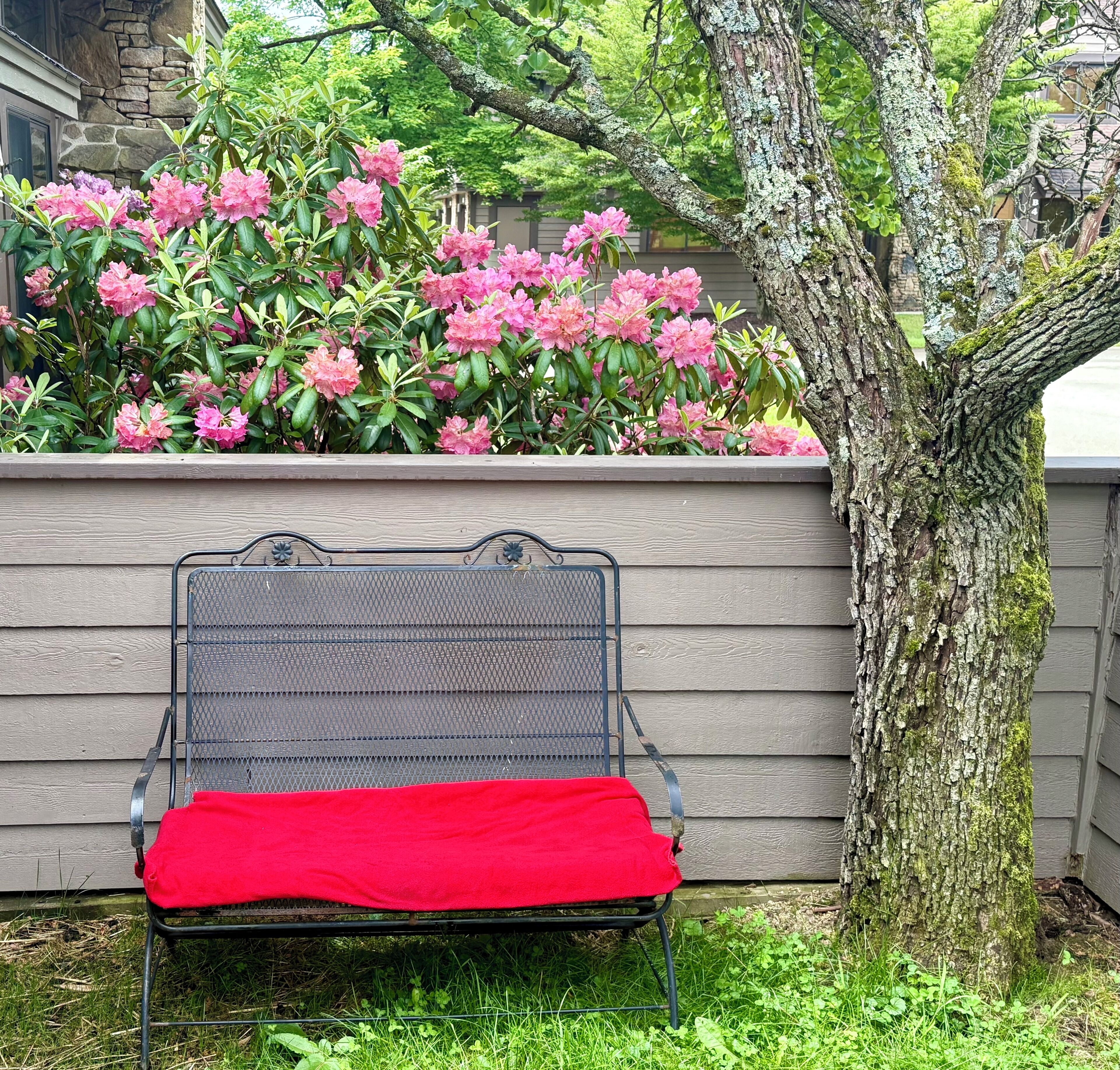 A metal bench with a red cushion against a wooden wall, surrounded by lush greenery and pink flowers.