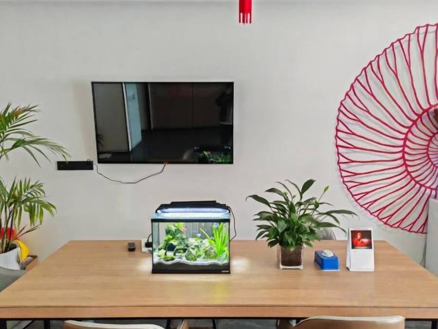 Un comedor con un acuario, plantas en macetas, un televisor y un ventilador decorativo.