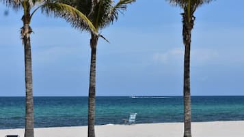 Playa en los alrededores