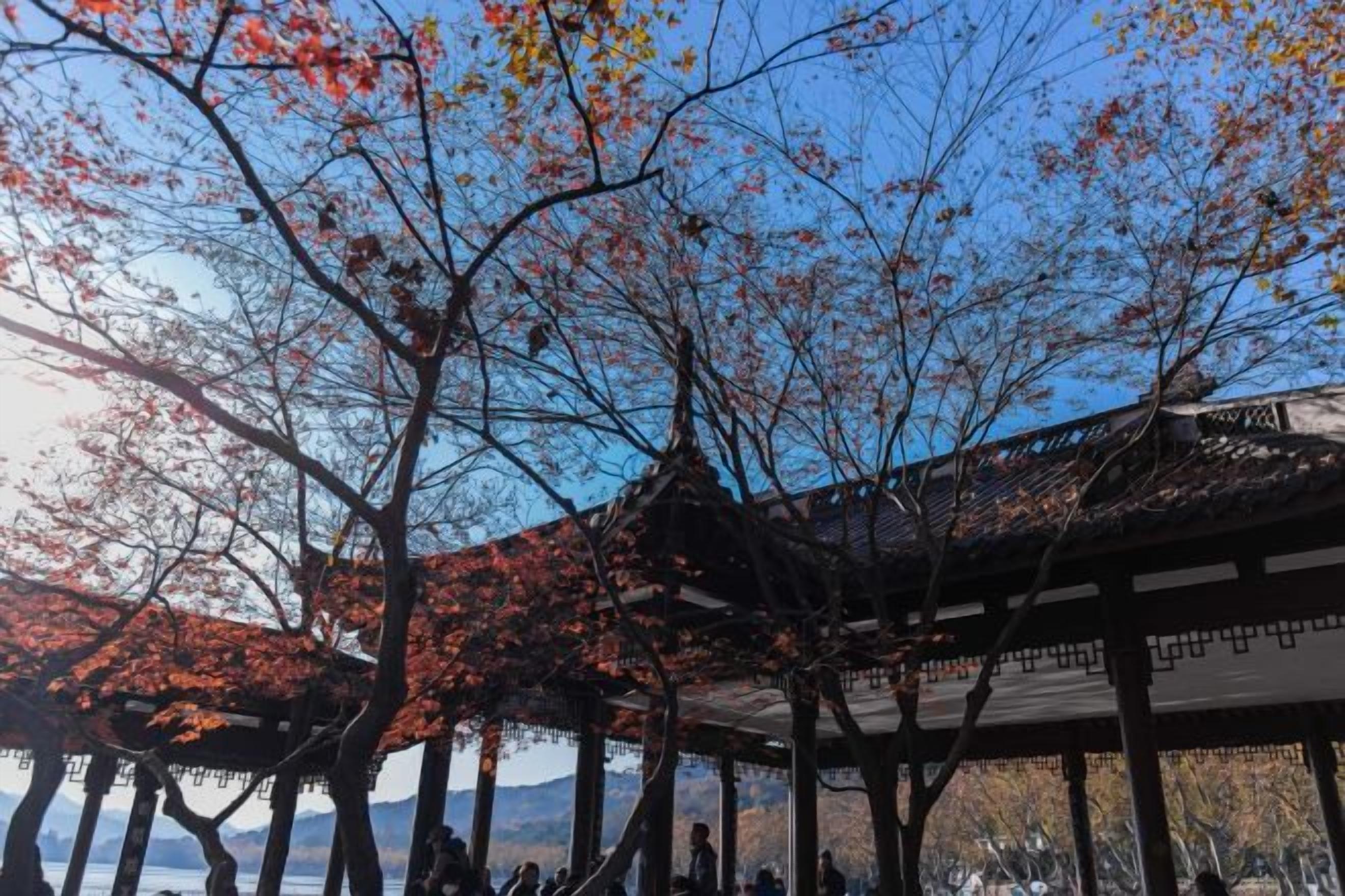 Un pavillon traditionnel dont le toit est soutenu par des piliers en bois, entouré d’arbres aux feuilles d’automne.