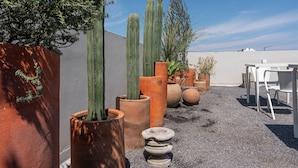 A rooftop garden with various potted plants, including cacti, and a white table and chair set. - Casa Teresa by Barrio México (Guadalajara)