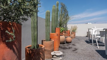 Terraza en la azotea