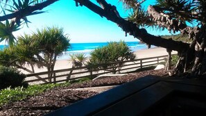Vista de playa con valla de madera, palmeras y un banco.