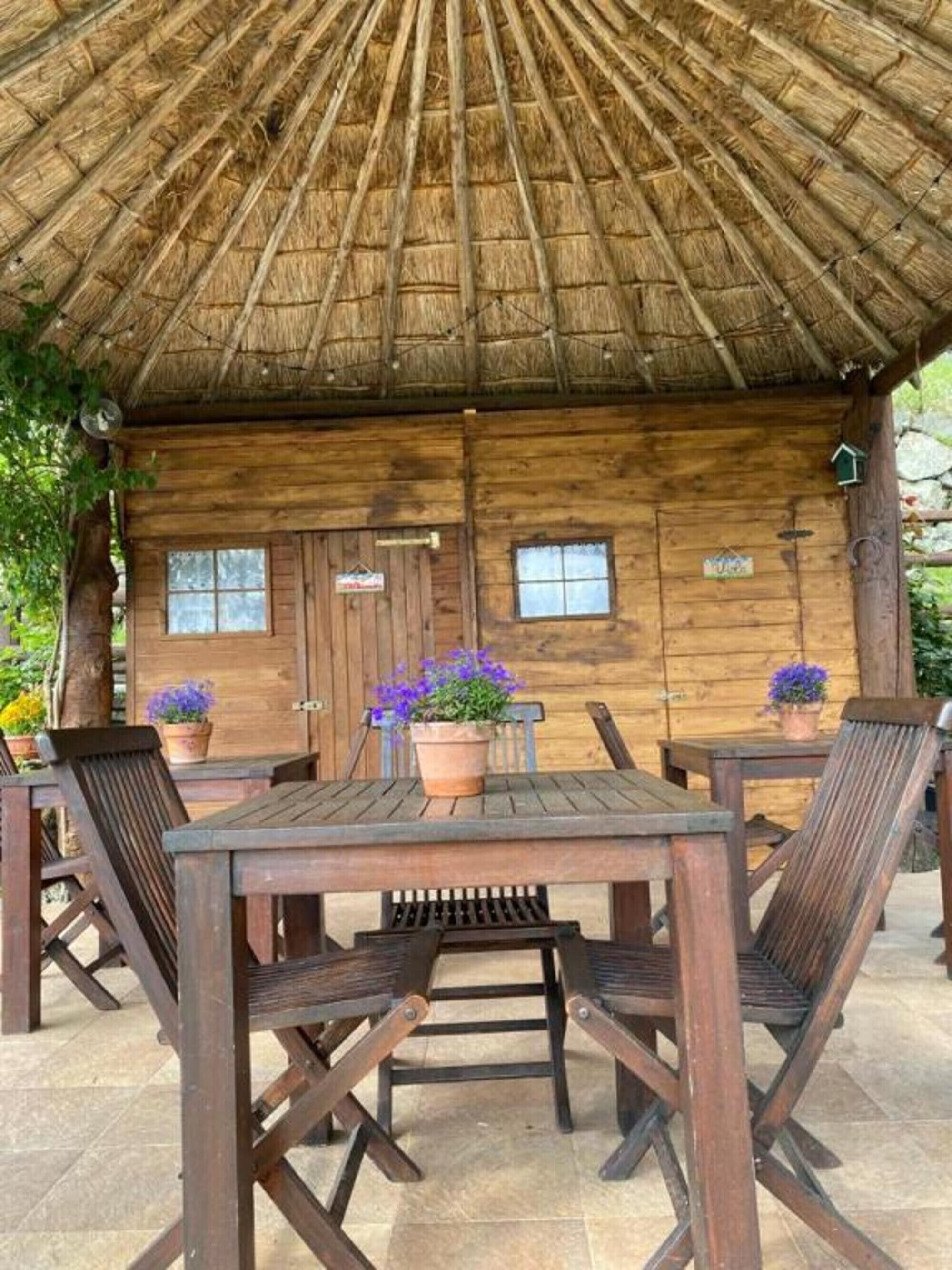 Eine rustikale Holzhütte mit einem Reetdach, einem Holztisch mit Stühlen und Blumentöpfen.