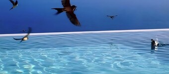 Apartment 'Kaladi Rock' with Sea View, Shared Pool and Wi-Fi