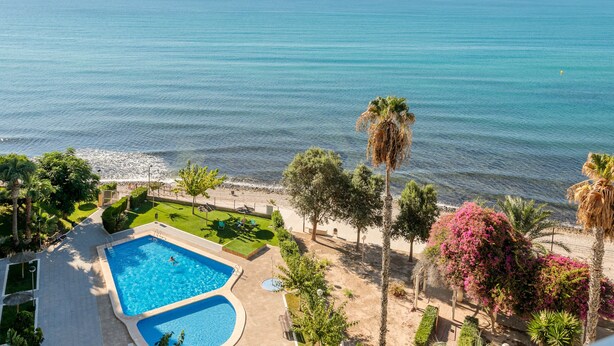 A swimming pool with a view of the sea, surrounded by greenery and palm trees.