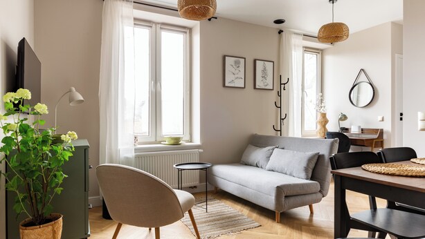 Un salon moderne avec un canapé gris, un plancher en bois, une table à manger avec des chaises, une plante en pot et de grandes fenêtres ornées de rideaux blancs.