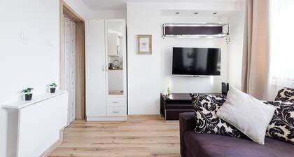 Park GrabiszyĆski Standard Studio