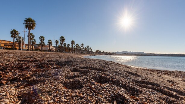 A pebbled beach with palm trees and buildings in the background. - Studio 'Soleil Et Douceur Il' with Private Garden, Wi-Fi and Air Conditioning (Sanary-sur-Mer)