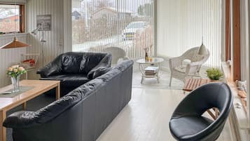 Télévision, cheminée, lecteur de DVD, chaßne hi-fi