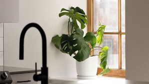 A kitchen with a modern faucet, a potted plant, and a window with a view.