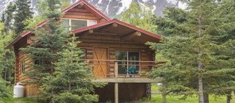Cozy Cabin on the Kenai River