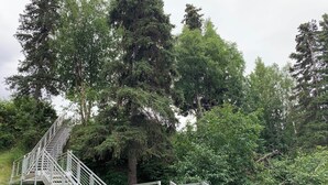 A metal staircase with railings leading up a grassy slope, surrounded by dense trees.