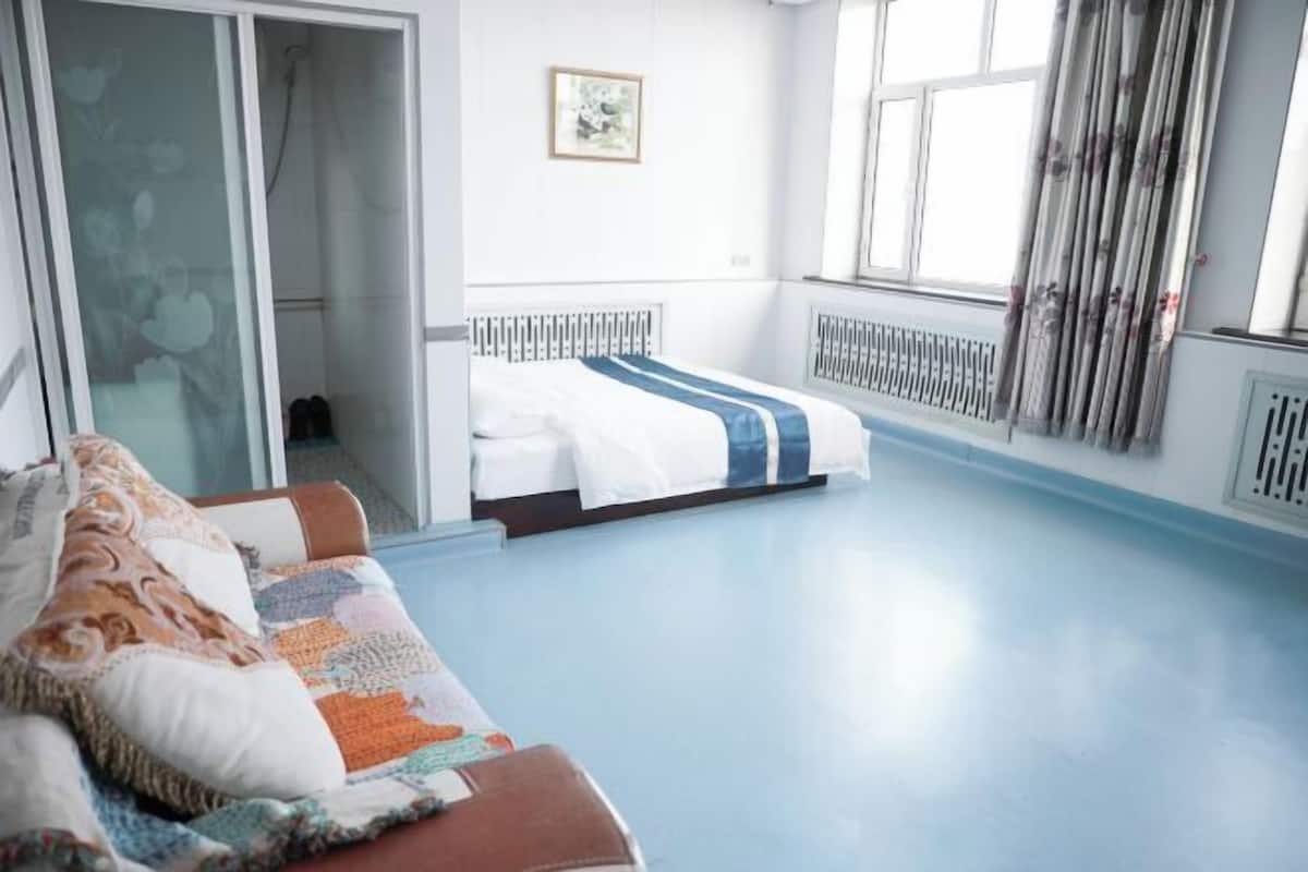 A room with a bed, a sofa, a window, and a radiator.