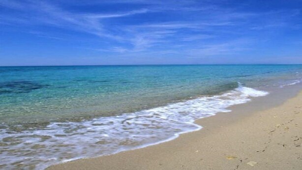 A beach with clear blue water and a sandy shore. - La Conchiglia  - Piscina e Animazione gratuita (Bernalda)