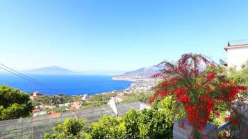 Vista dalla struttura