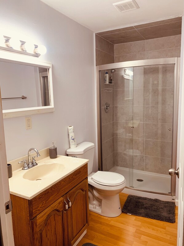 A bathroom with a shower, toilet, sink, and mirror. - The Studio on 8th, Entire guest suite in Wauchula Florida ! (Wauchula)