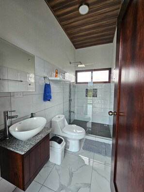 Hair dryer, towels, soap, toilet paper