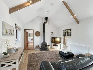 Télévision, cheminée, lecteur de DVD