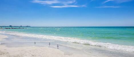 Plage à proximité, chaises longues, serviettes de plage