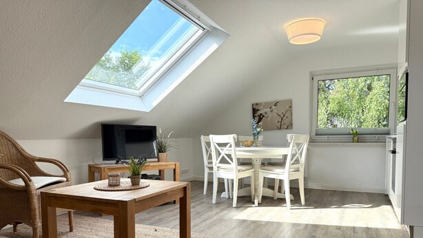 A modern loft apartment with a skylight, a dining area, and a living room.