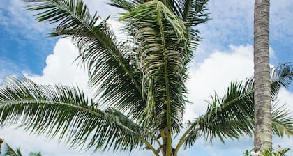 3-bedroom beachfront villa in charming Koh. Californian owned and managed