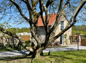 Exterior - Large Touraine house with swimming pool Near A10, Private park, Hammam (Sorigny)