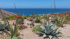 Un giardino desertico con diversi cactus e piante succulente, un pergolato in legno e vista sull'oceano.