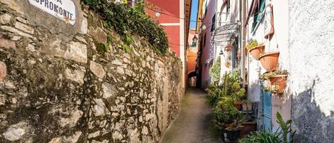 Área da propriedade