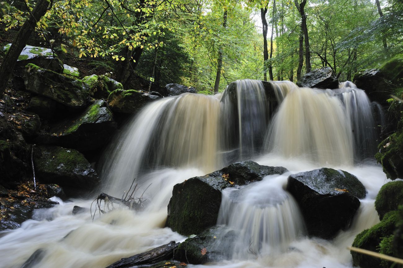 Una cascada en un área boscosa con rocas y musgo.
