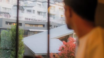 舒適別墅, 城市景 | 客房景觀