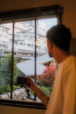 Vista desde la habitación