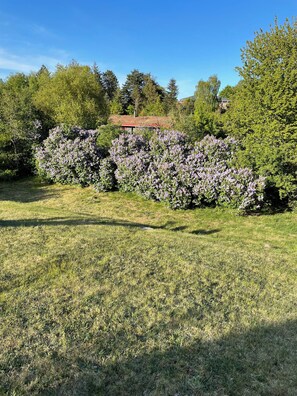Ulkoalueet