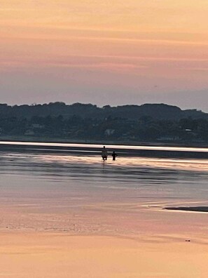 Unclassified image, 2 of 16, button