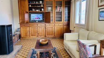 TV, DVD player, books, music library