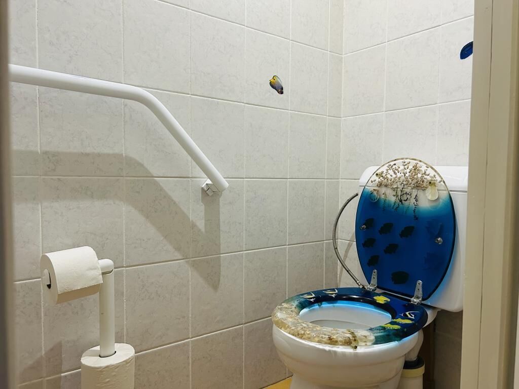 Une salle de bain avec des toilettes blanches, un rouleau de papier toilette et un abattant de toilettes bleu.