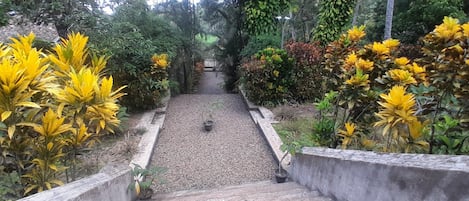 Pemandangan taman