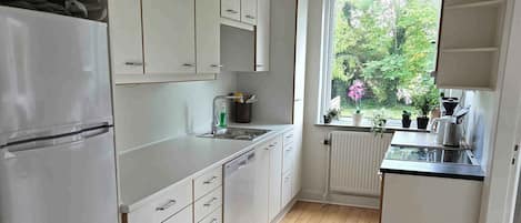 Fridge, oven, stovetop, dishwasher