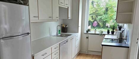 Fridge, oven, stovetop, dishwasher