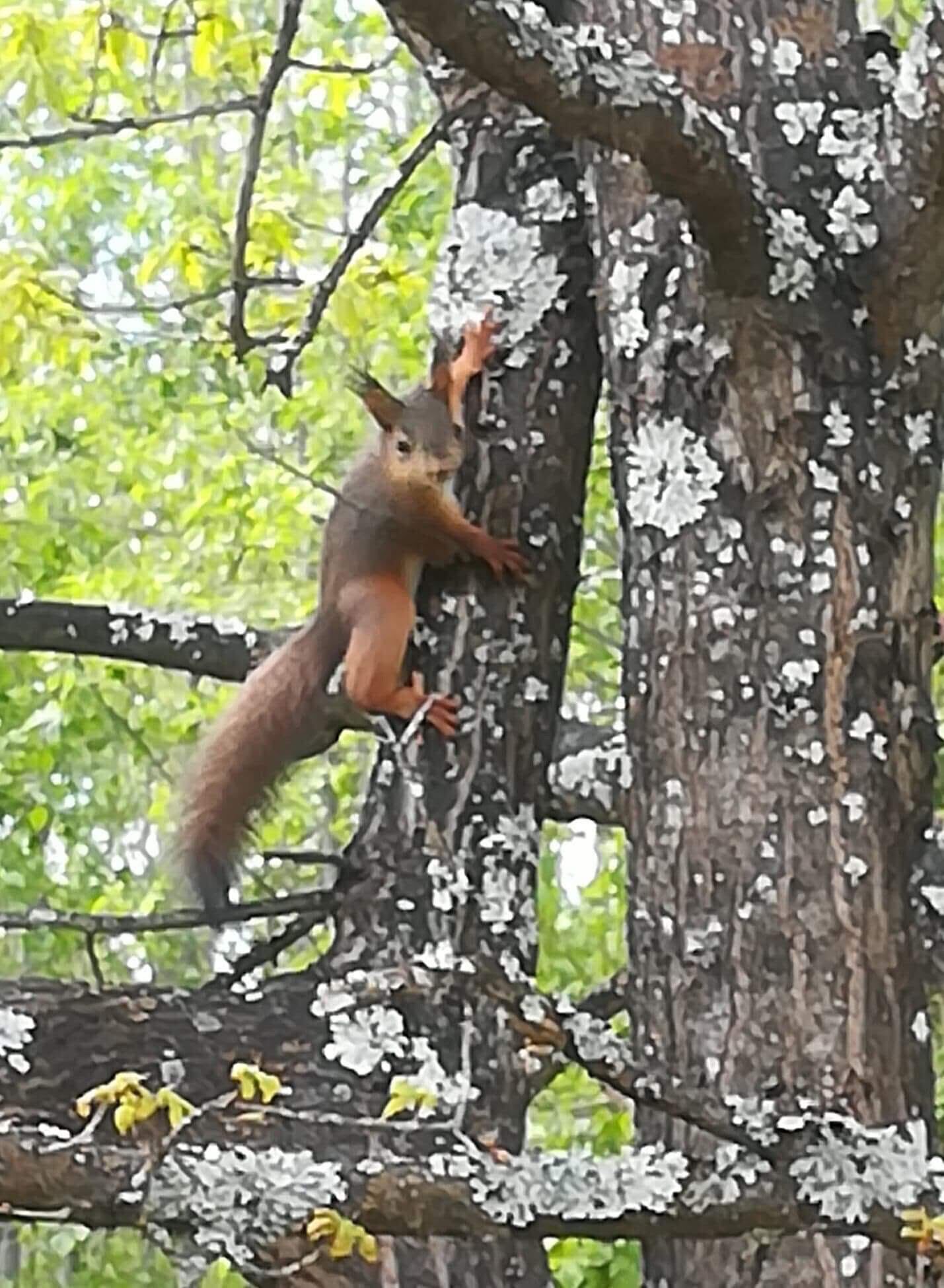 Traditional House, Garden View | View from room
