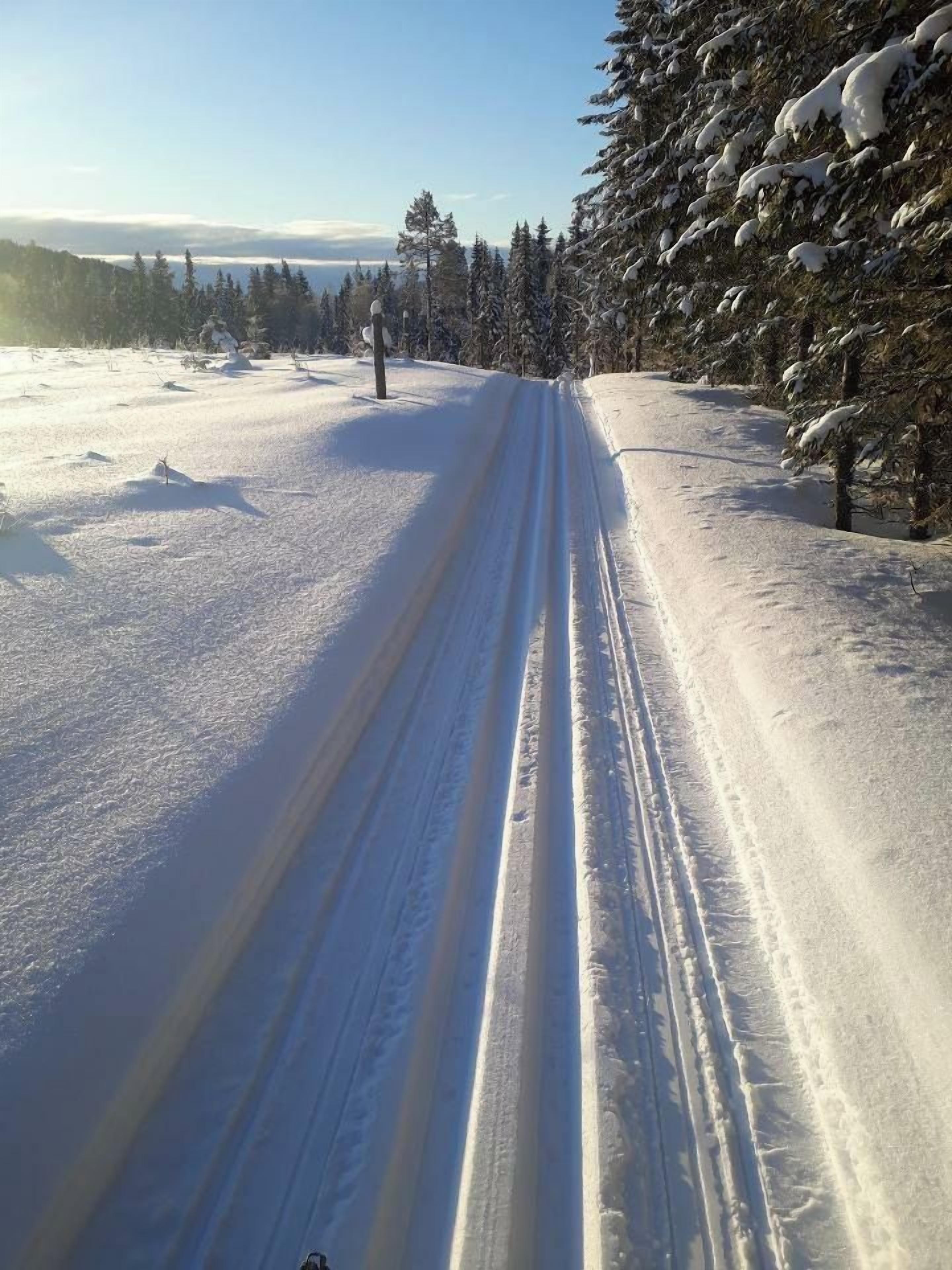 Une route enneigée, bordée d’arbres, qui s’étend vers un horizon lointain.