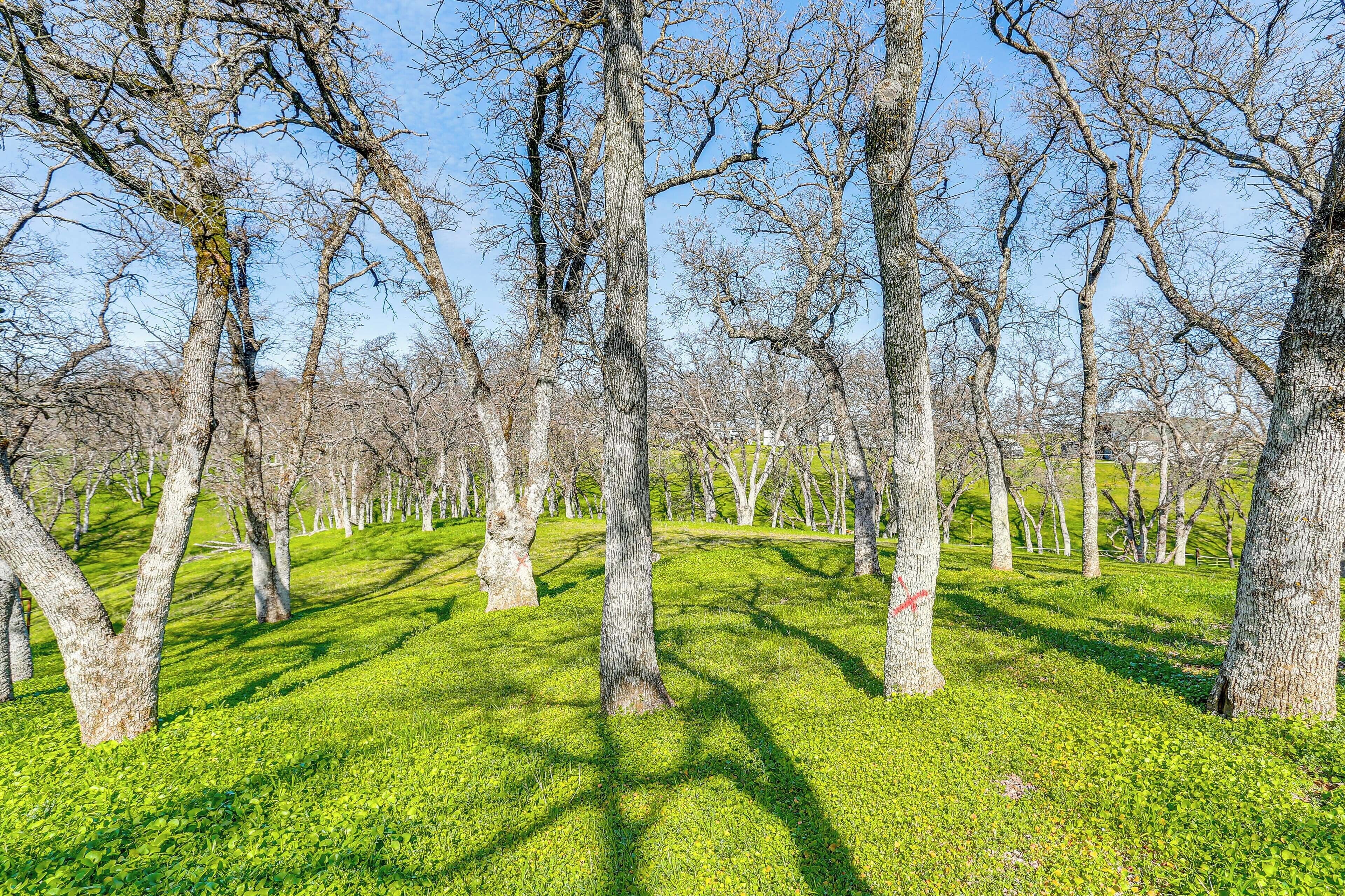 Cottage (2 Bedrooms) | Interior