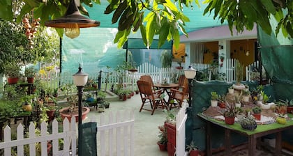 Koko's Farm