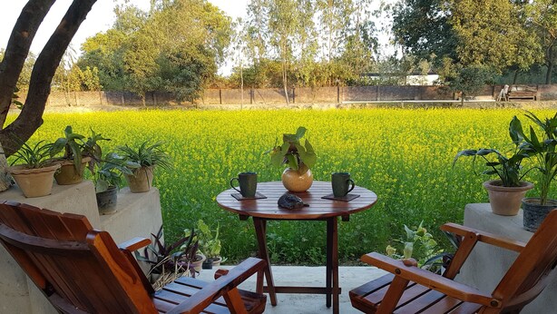 A wooden table and chairs set on a concrete platform with potted plants, overlooking a field of yellow flowers. - Koko's Farm (Mohanlalganj)