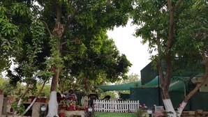 A serene garden with a pond, potted plants, and a white picket fence. - Koko's Farm (Mohanlalganj)