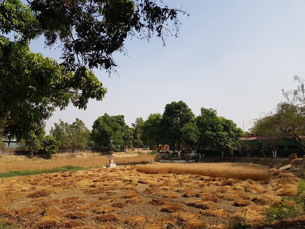 A rural landscape with a field of harvested crops, trees, and a small structure.