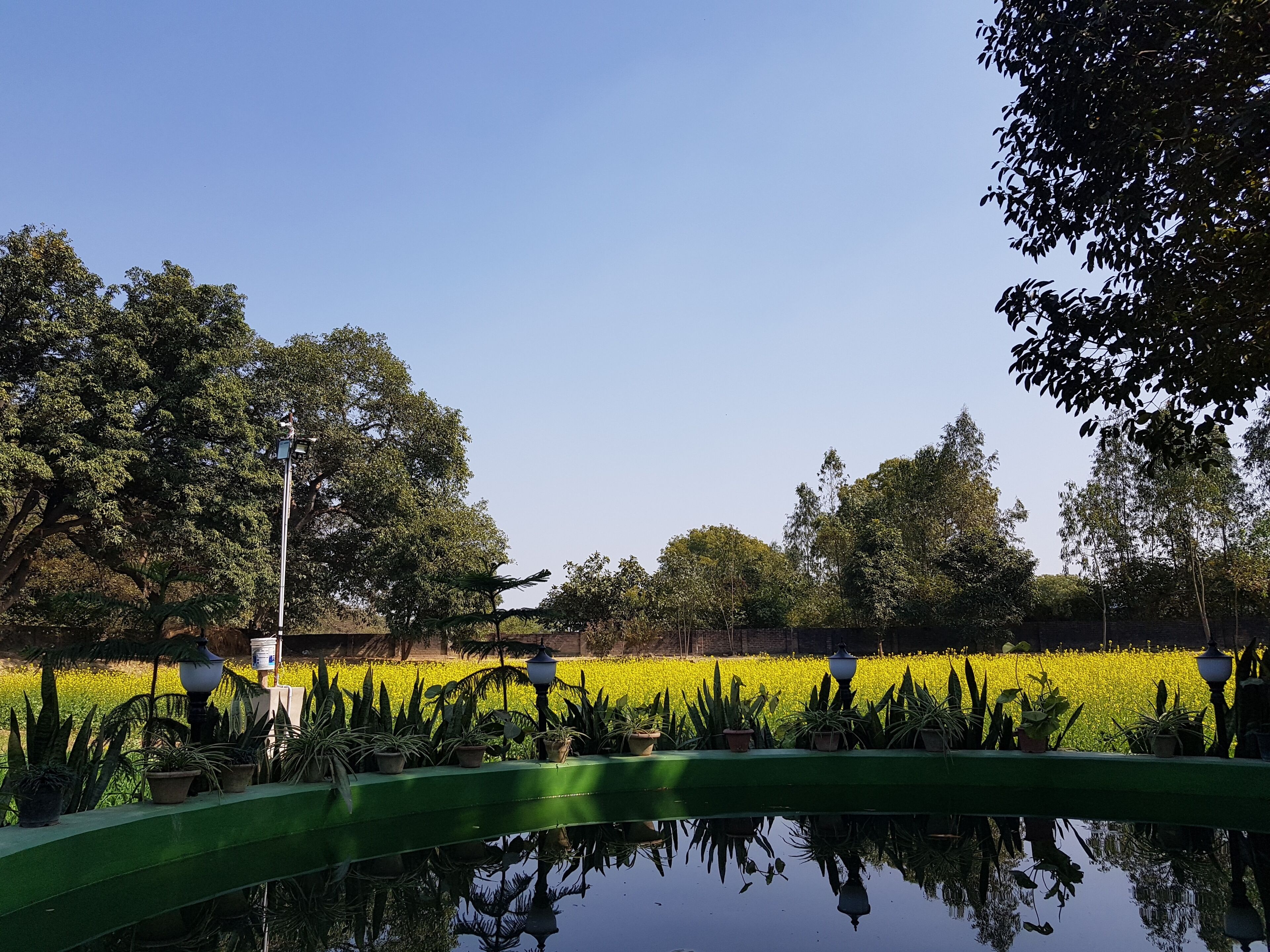 Garden view