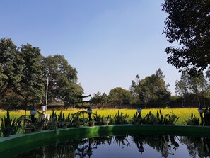 Garden view - Koko's Farm (Mohanlalganj)